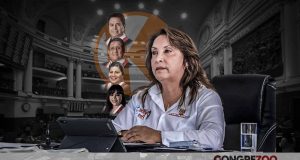 Dina Boluarte: Fujimoristas evitan votar en informe que plantea suspensión o vacancia por caso Cirugías