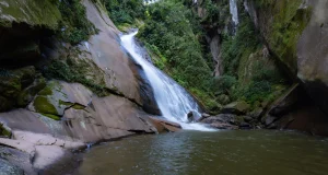 Serfor deroga norma clave que compromete la creación de más de 10 áreas protegidas
