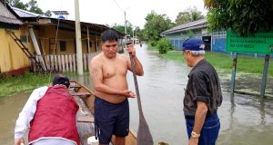 Bretaña, Puinahua: algunas impresiones impresionantes