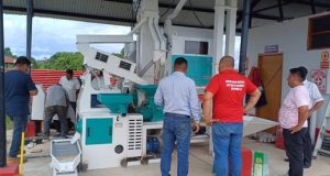 YA ESTÁ INSTALADO EL MÓDULO DE PILADO DE ARROZ DEL PROYECTO ARROZ Y MAÍZ