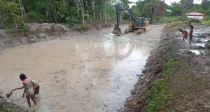 MEJORAN ESTANQUE PARA CRIANZA DE PECES EN EL VIVERO MUNICIPAL