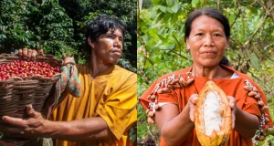 Café y cacao: Sector discutirá estrategias ante regulación europea y cambio climático