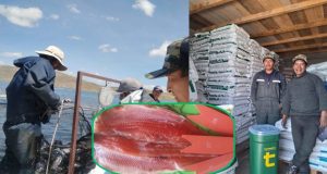Trucha producida en Puno es la más requerida en mercados del sur del país por su alta calidad