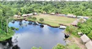 Descubren nuevas especies de flora y fauna en los bosques inundables del Abanico del Pastaza