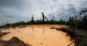 Científicos advierten niveles críticos de mercurio en la Amazonía peruana