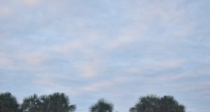 MUNICIPALIDAD DE DATEM PREMIA A GANADORES DE COPA PERÚ