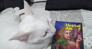 “HOSTAL AMOR” DE CAYO VÁSQUEZ, LA NOVELA DE LA SELVA QUE ATRAPÓ A MERLÍN CHAMBI