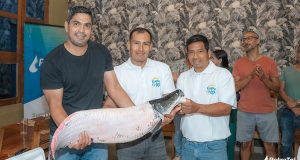 PAICHE DE PUINAHUA CAUTIVA A EMPRESARIOS GASTRONÓMICOS