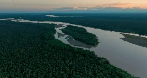 Perú reconoce cinco nuevas metodologías para medir reducción de gases de efecto invernadero