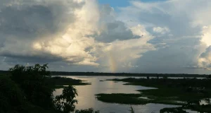 Abren fondo de $1,5 millones para proyectos que impulsen la conservación en la Amazonía