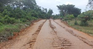 MUNICIPALIDAD PROVINCIAL INICIA APERTURA DE TROCHA CARROZABLE SAN RAFAEL / MACHETEYACU