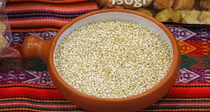 Puno: Producción de quinua cae más del 50% por efectos del cambio climático