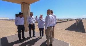 Arequipa: recién inaugurada planta fotovoltaica por Dina Boluarte ya presenta problemas