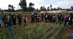 Falta de planificación urbana pone en riesgo el desarrollo de Ayacucho