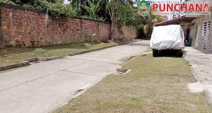 #buenagestion || ✅ La Municipalidad Distrital de Punchana, a través de la Gerencia de Servicios Municipales, y el personal de Áreas Verdes de la Unidad de Gestión Ambiental, realizó el mantenimiento, desbroce y limpieza de los espacios públicos de la avenida Colonial con pasaje 05 de enero.