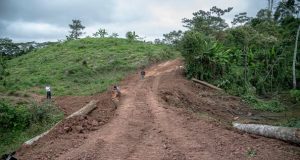 MANTENIMIENTO DE TROCHAS Y COSTRUCCIÓN DE PUENTES EN EL VALLE DEL ZAPOTE