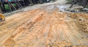 #buenagestion || ✅ Como parte de los trabajos de mantenimiento y mejoramiento de vías, la Municipalidad Distrital de Punchana, a través de la Gerencia de Servicios Municipales, realizó labores de apoyo con retroexcavadora para el regado y nivelación de material de relleno en las calles 10 de Agosto y Villa Facultad, ubicadas en el Asentamiento Humano Delicia Manzur.