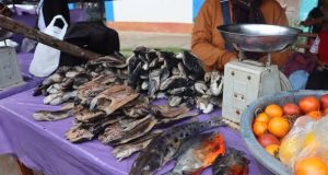 #FiestaPatronal // FERIA AGROPECUARIA, ARTESANAL Y DE EMPRENDIMIENTO