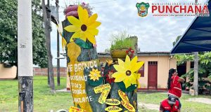 #buenagestion || ✅ La Municipalidad Distrital de Punchana, a través de la Unidad de Gestión Ambiental, adscrita a la Gerencia de Servicios Municipales, realizó la limpieza y mantenimiento de áreas verdes en el cruce de la Avenida Freyre con 28 de Julio.