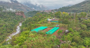 La Convención: Recuperarán más de tres mil hectáreas de ecosistemas degradados