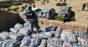Aduanas Puno incauta contrabando por US$8 millones y supera cifras del 2023