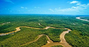 LORETO DECLARA FERIADO POR ANIVERSARIO DEL AMAZONAS