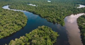 “TENIENTE GOBERNADOR ES UN ANALFABETO”