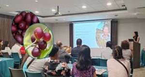 CAMU CAMU Y AGUAJE IMPULSAN DESARROLLO EN LORETO