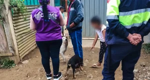 Puno Censo Nacional 2025: INEI reporta 4 censistas heridos y más de 100 renuncias