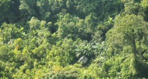 Retroceso en protección de los PIACI: Gobierno niega categorización de Reserva Yavarí Mirim en Loreto pese a evidencias