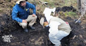 Exhuman restos de óseos de personas asesinadas por Sendero en 1992, en límite de Junín y Pasco