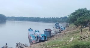 HAY QUE COMER CARACHAMAS: BAGRES CONCENTRAN MÁS MERCURIO Y PONEN EN RIESGO A LAS COMUNIDADES