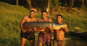 CONSUMIR PAICHE ES MUY SALUDABLE