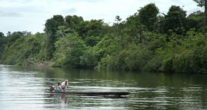 LLAMAN MENTIROSO Y APROVECHADOR A DIRIGENTE DE FEPIURCHA