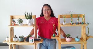 PLANTVIDA PROMUEVE EL CUIDADO DE PLANTAS COMO PARTE DEL HOGAR