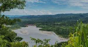 Deforestación en Brasil pone en riesgo el ciclo del agua y la estabilidad de los ecosistemas en Perú y Bolivia