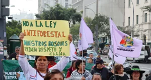 Rechazan proyecto de ley que permitiría titular tierras deforestadas en la Amazonía sin estudios ambientales