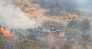 Arequipa: Incendio forestal en La Unión continua activo y afecta a Cotahuasi