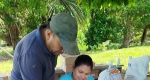 IMPACTO EN LA ACUICULTURA AMAZÓNICA: PISCICULTORES DEL RÍO MARAÑÓN RECIBEN ALEVINOS