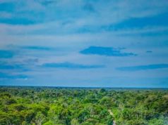 NUEVA VÍA DE ACCESO MEJORA LA CONECTIVIDAD ENTRE CENTRO UNIÓN LUPUNA Y SAN ANTONIO DE GALLITO