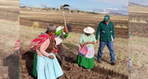 Puno: PBI regional cayó 1.4% en el segundo trimestre, el sexto peor resultado del país