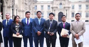 NUEVA BANCADA DE ACCIÓN POPULAR