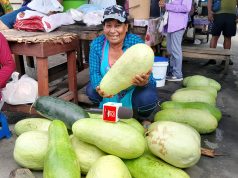 LA TRADICIÓN DE LA SANDÍA FRESCA