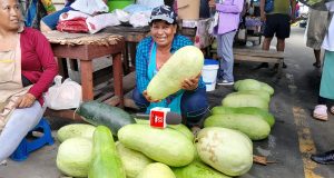 LA TRADICIÓN DE LA SANDÍA FRESCA