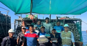 Pesquería de anguila peruana busca certificación MSC, la más exigente en sostenibilidad pesquera