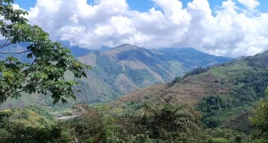 Huánuco: Proponen creación de nueva Área de Conservación Regional el Alto Monzón