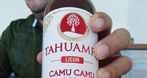 CACAO, CAFÉ, CAMU-CAMU, AGUAJE, PAICHE, SACHAINCHI EN EXPOAMAZÓNICA 2025