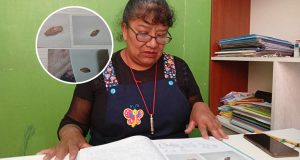 Juliaca: exigen investigación fiscal tras hallar insecto en conserva de Wasi Mikuna