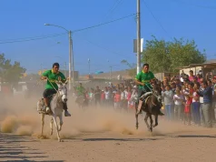 Ica: Así será la gran carrera de burros en Ocucaje con premio de mil soles al ganador
