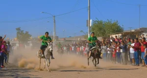 Ica: Así será la gran carrera de burros en Ocucaje con premio de mil soles al ganador